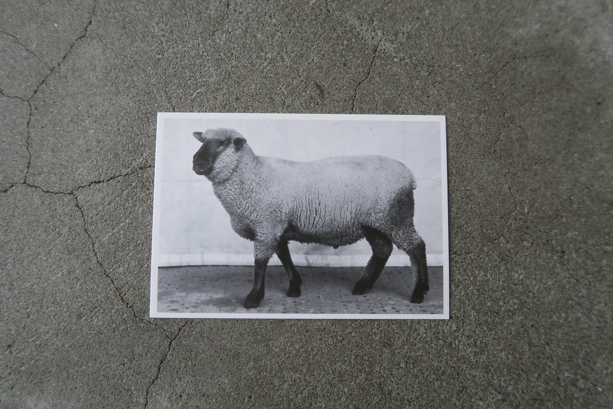card---monotone