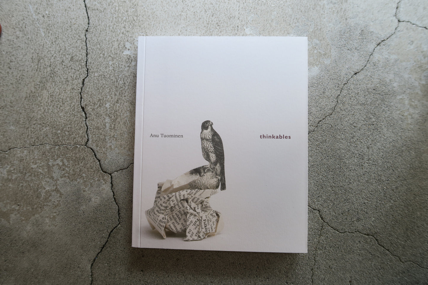 book--thinkables--Anu Tuominen