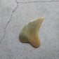 denmark----Gua sha massage -hornvarefabrikken