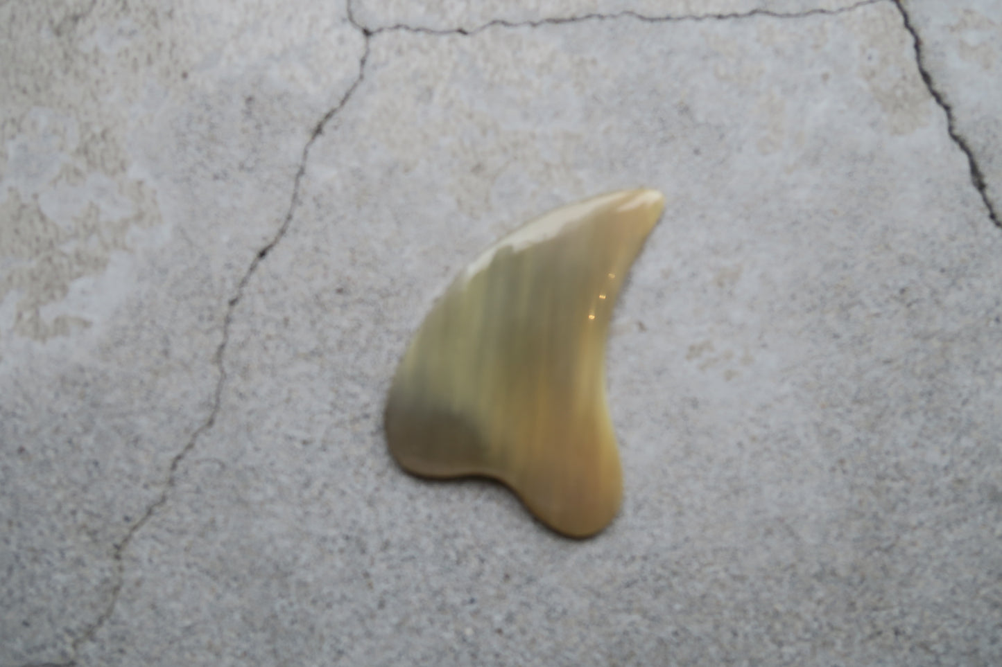 denmark----Gua sha massage -hornvarefabrikken