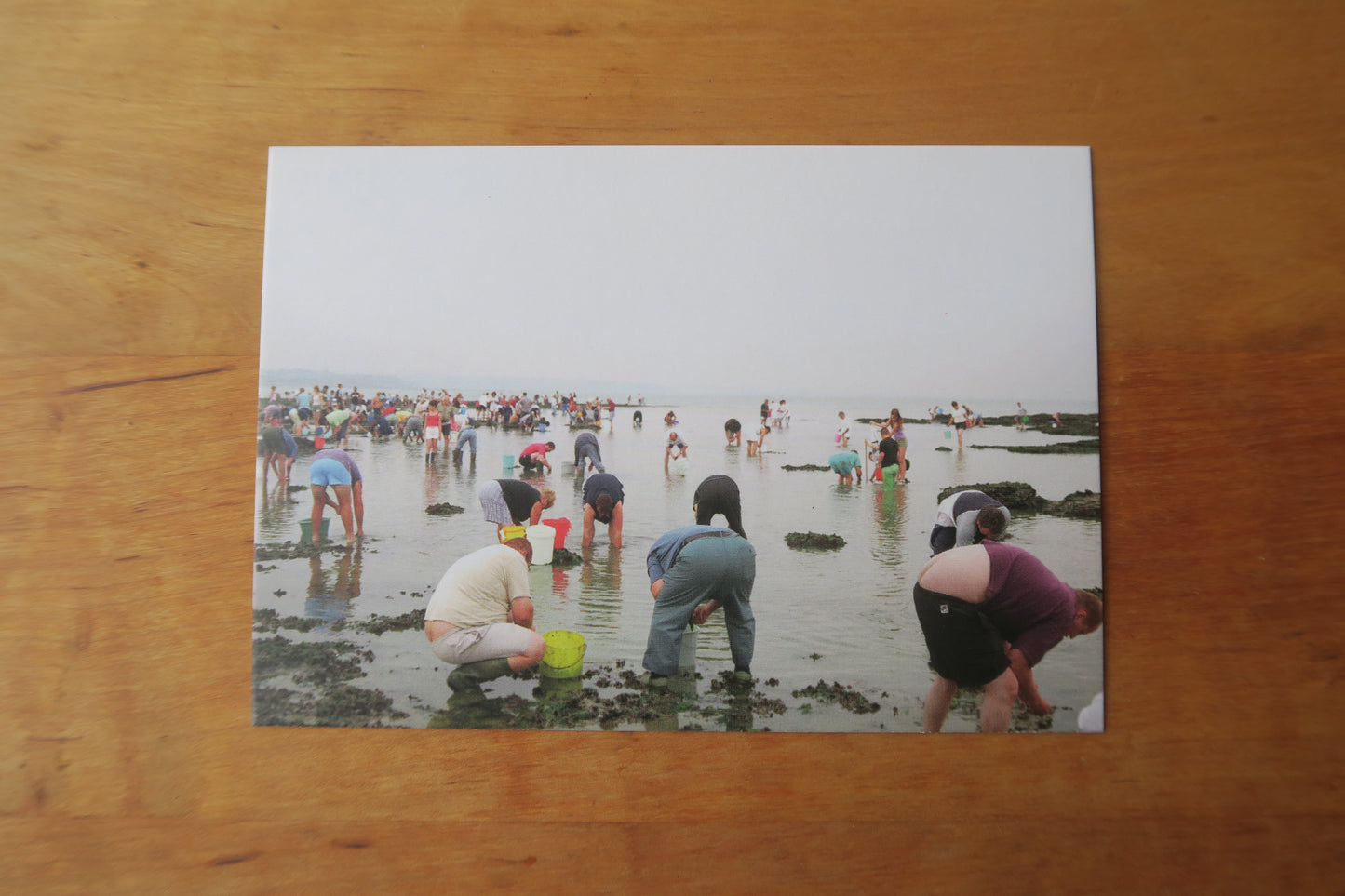 card---selected cards --2026
