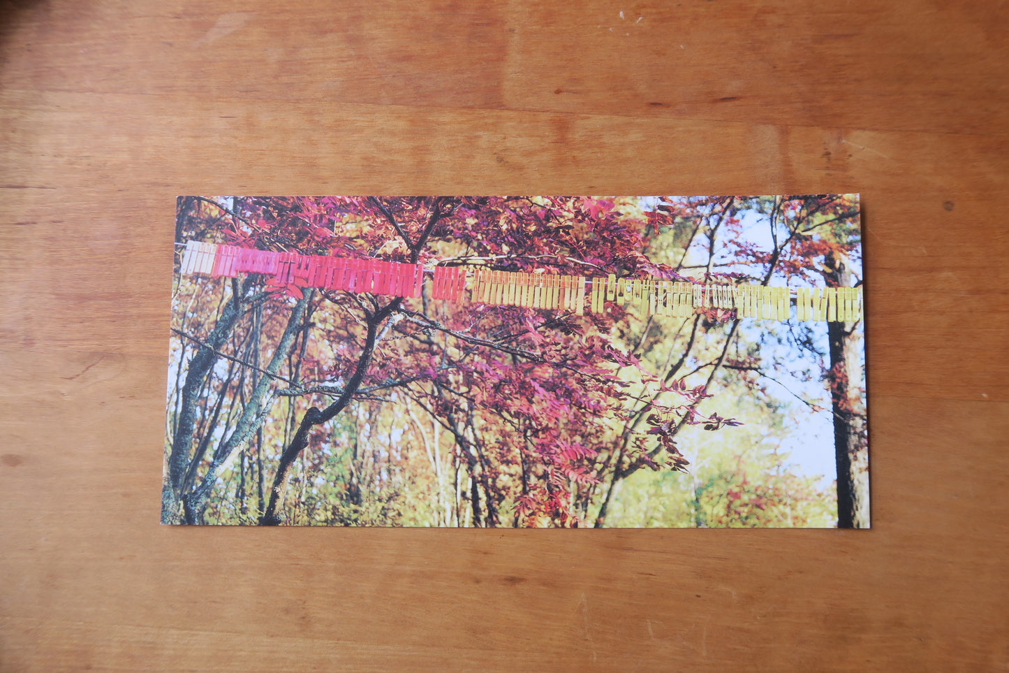 big card--Anu Tuominen