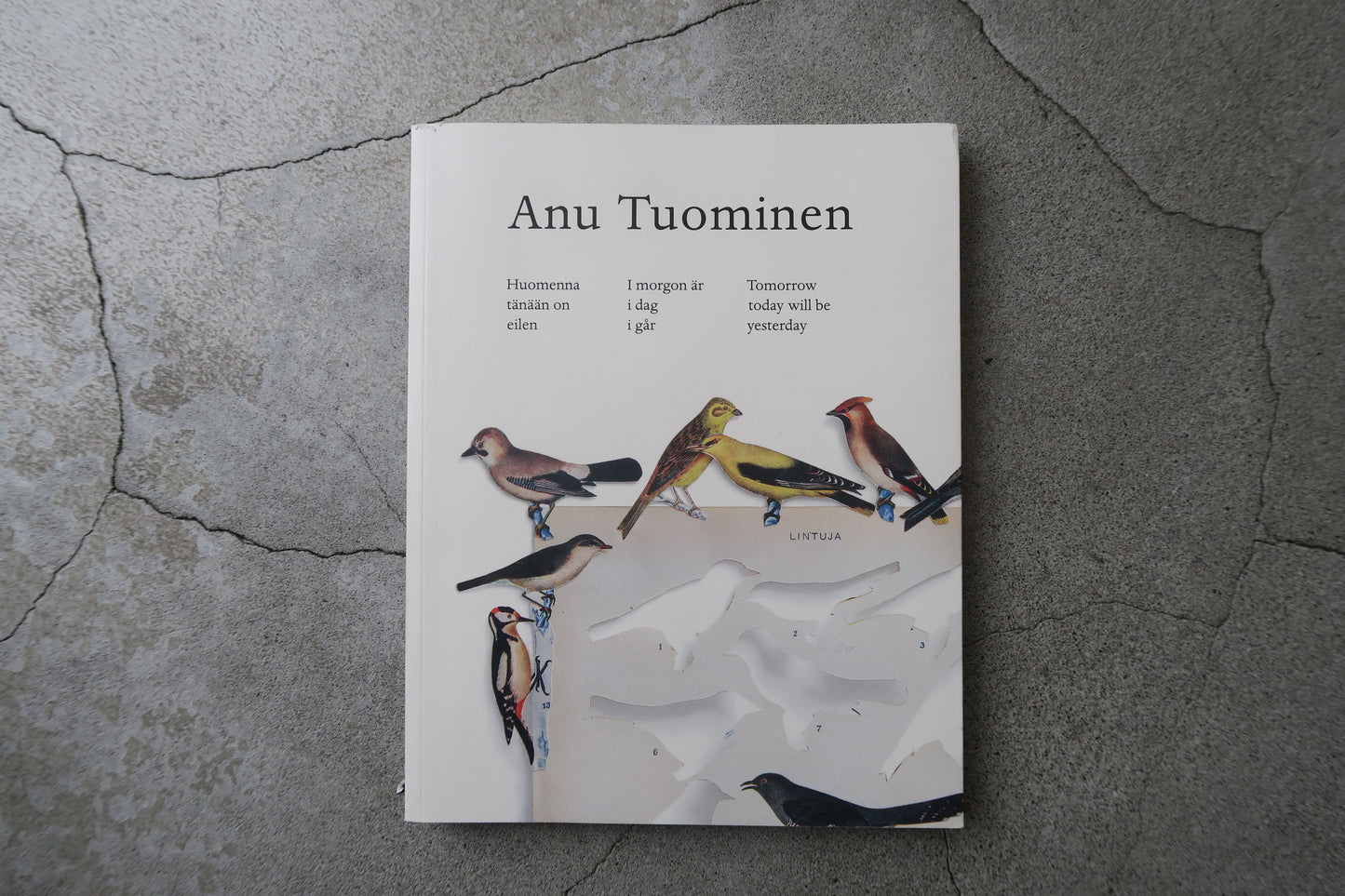anu tuominen