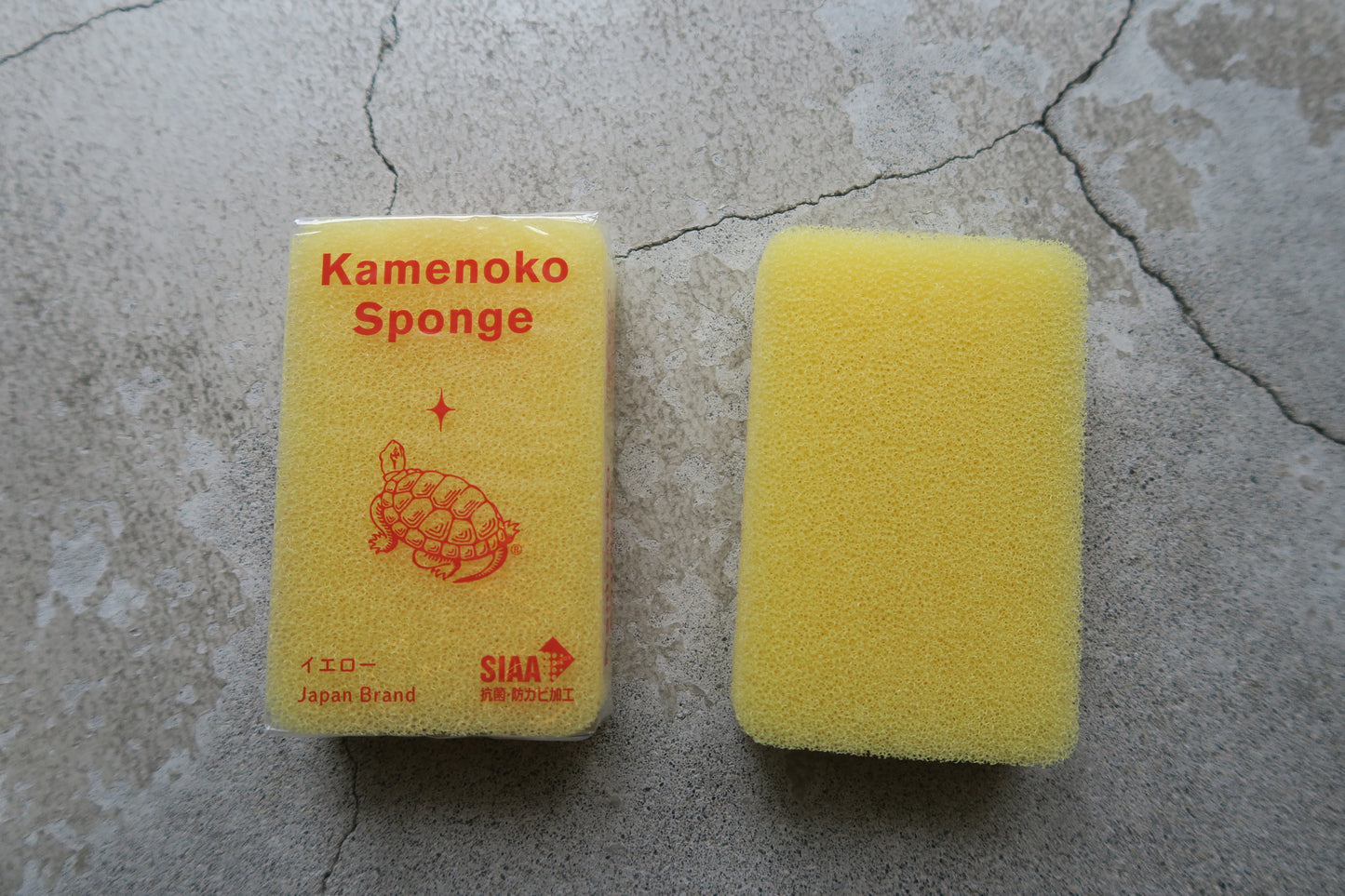 亀の子スポンジ